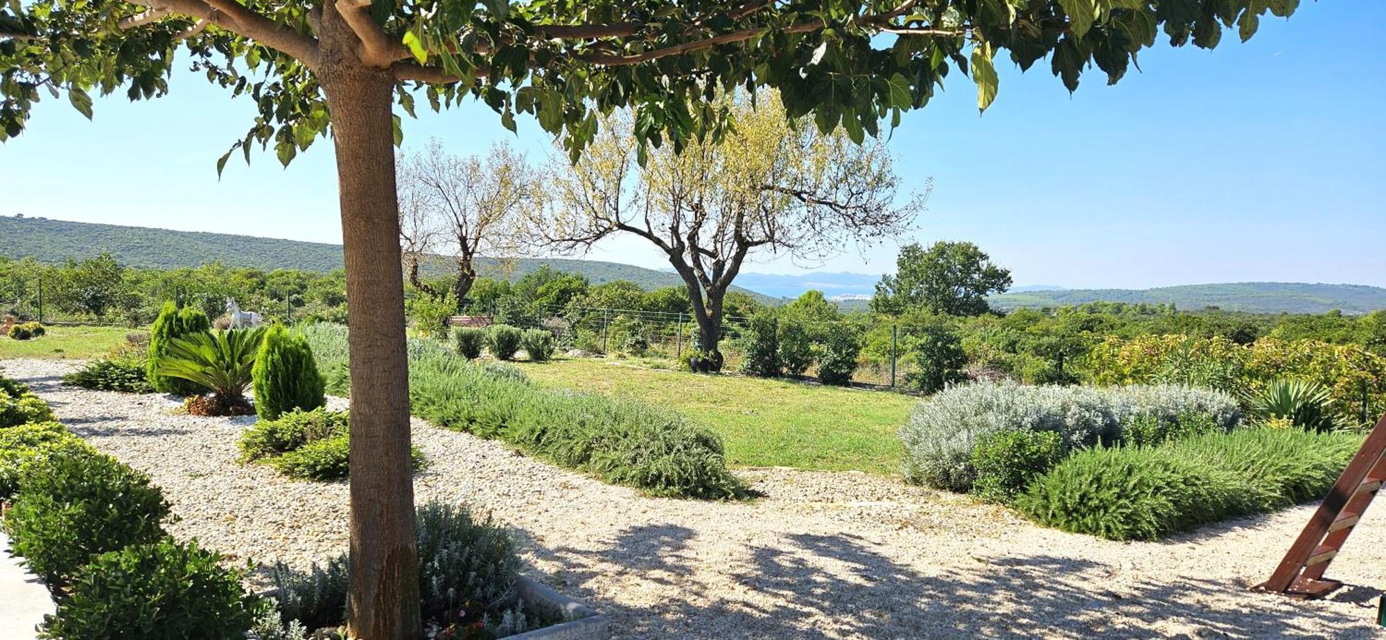 Villa Jelena Zara Esterno foto